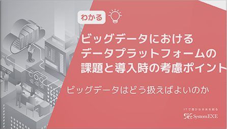 ビッグデータにおけるデータプラットフォームの課題と導入時の考慮ポイント