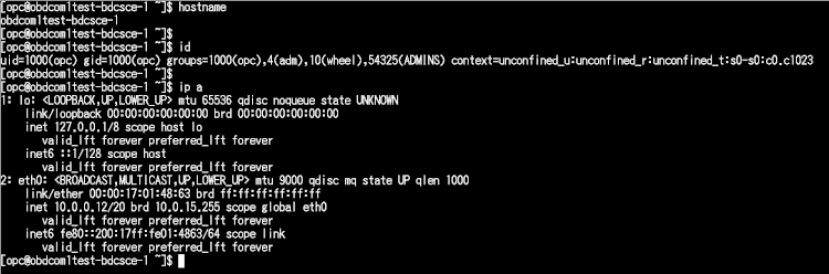 Oracle Big Data Cloud Compute Edition インスタンス作成(作成編)08