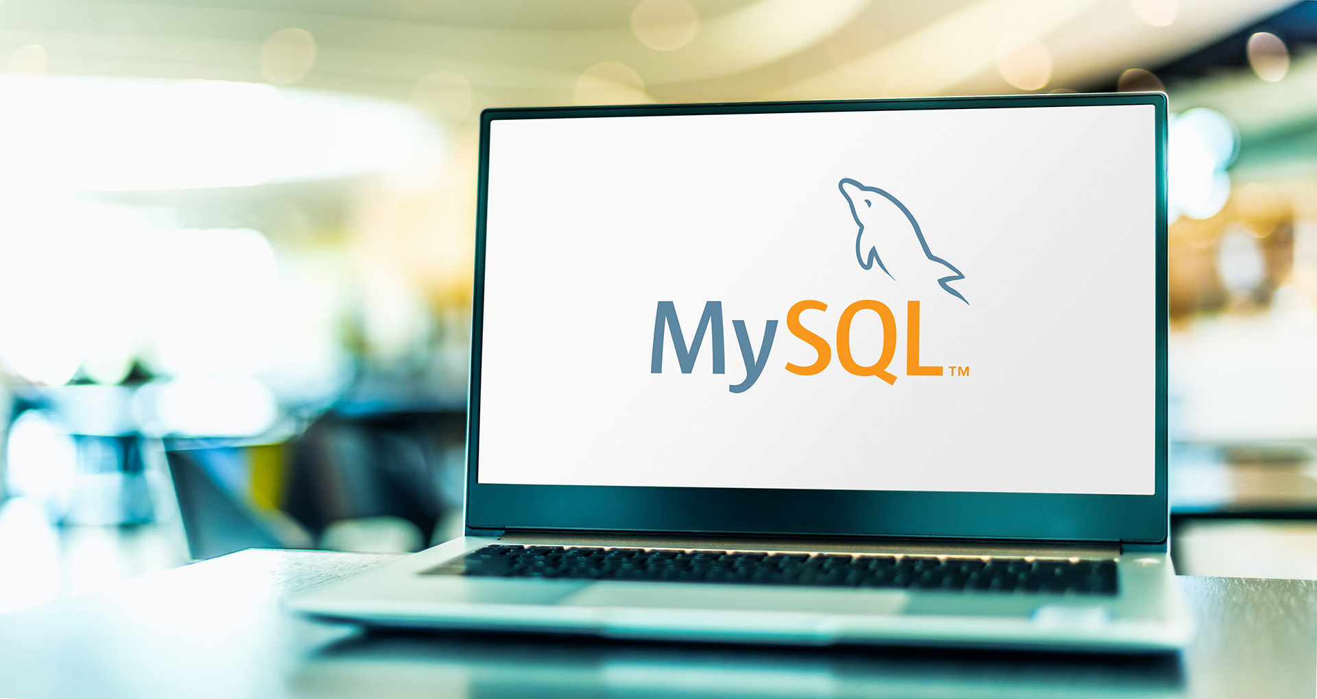 MySQLとは？MySQLの特長と最新動向を徹底解説