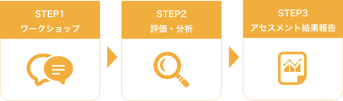 STEP1:ワークショップ、STEP2:評価・分析、STEP3:アセスメント結果報告